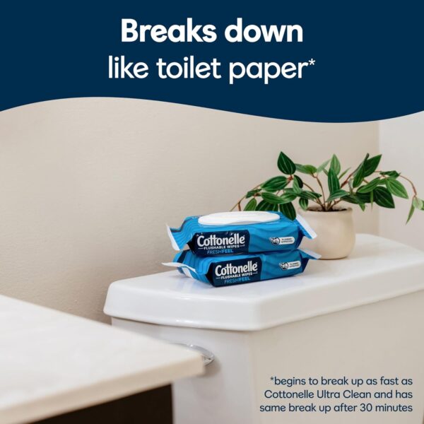 Cottonelle Fresh Feel Flushable Wet Wipes