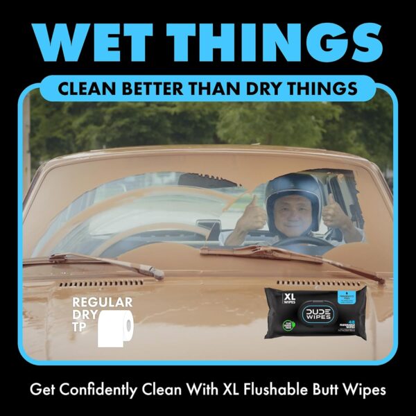 DUDE Wipes Flushable Wipes