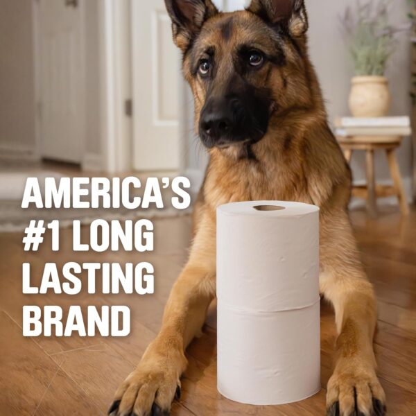Scott 1000 Trusted Clean Toilet Paper 32 Rolls