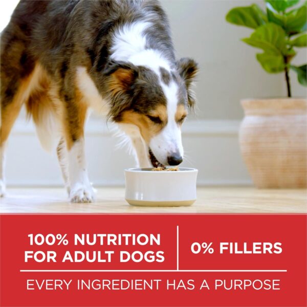 Purina ONE Dry Dog Food - 16.5 lb. Bag