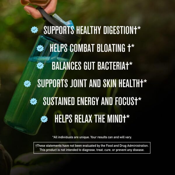 Morning Kick, Greens Superfood Powder Supplement